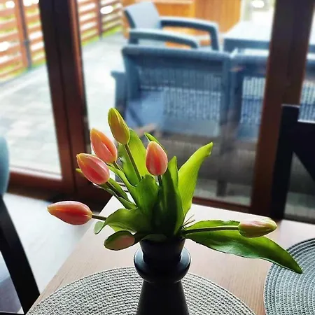 Na Brzyzku Holiday home *