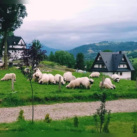 Na Brzyzku - W Gorach Z Balia Z Jacuzzi Vakantiehuis